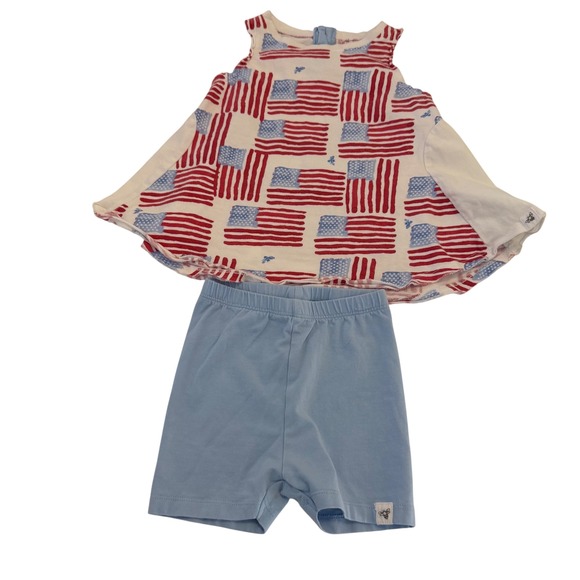Burt's Bees Baby Other - Burts Bees Baby 18M American Flag Patriotic Swing Top and Shorts Set Organic